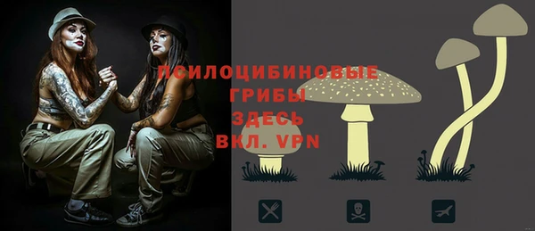 мяу мяу мука Алзамай