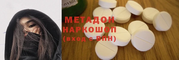 прущие грибы Сатка