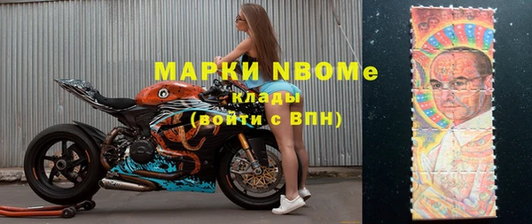 прущие грибы Сатка