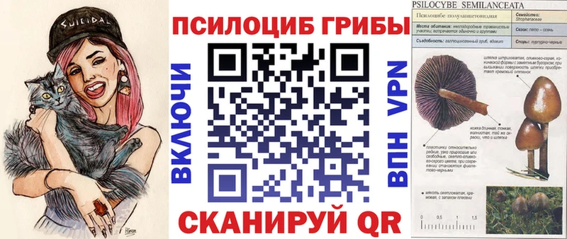 Галлюциногенные грибы MAGIC MUSHROOMS  Апрелевка 